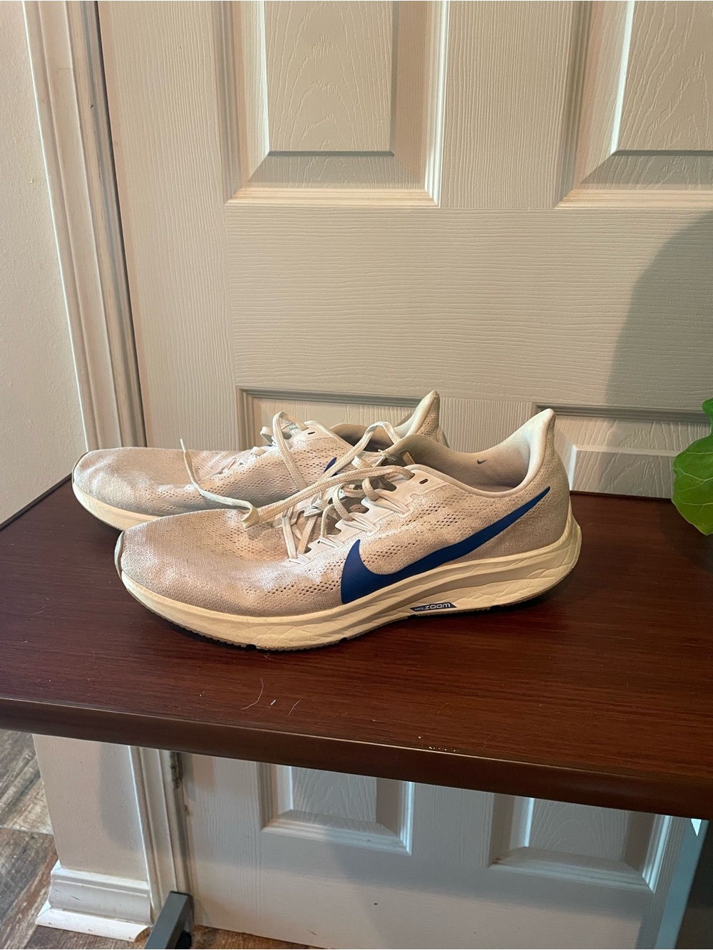Nike White Sneakers with Blue Insole